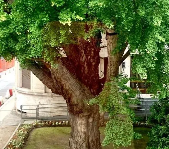 Ravenna Suite Apartment