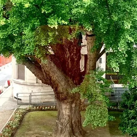 Ravenna Suite Apartment